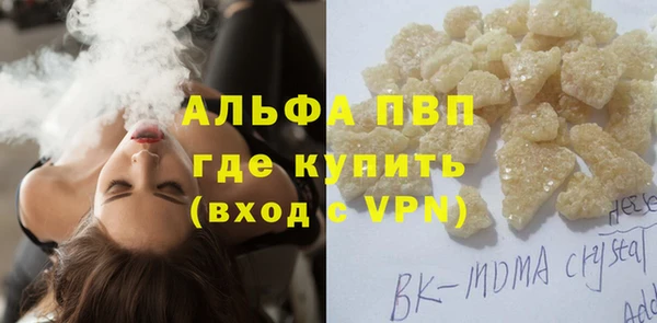 крисы Баксан