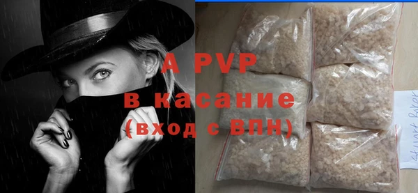 крисы Баксан