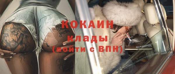 твердый Аркадак